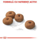 Royal Canin Maxi Sterilised Adult – Hrană Uscată pentru Câini de Talie Mare Sterilizați – 12 kg